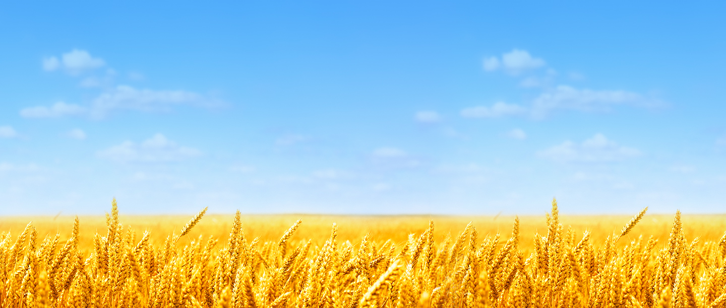 What’s crops? 当社の社名「crops（クロップス）」は、農作物の“収穫”に由来しており、 農業と同様に、享受した収穫を糧に次の収穫を生み出す という意味を込めています。